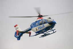 2007
 Hero